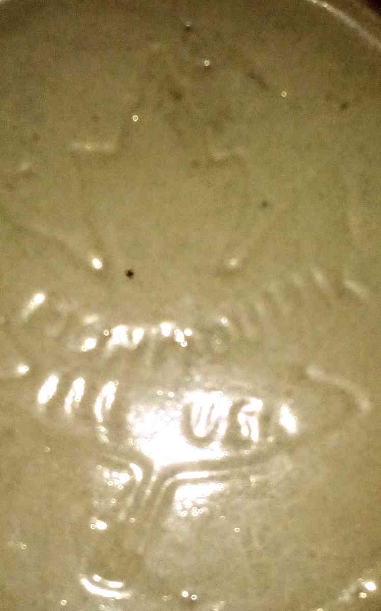 small crock maple leaf