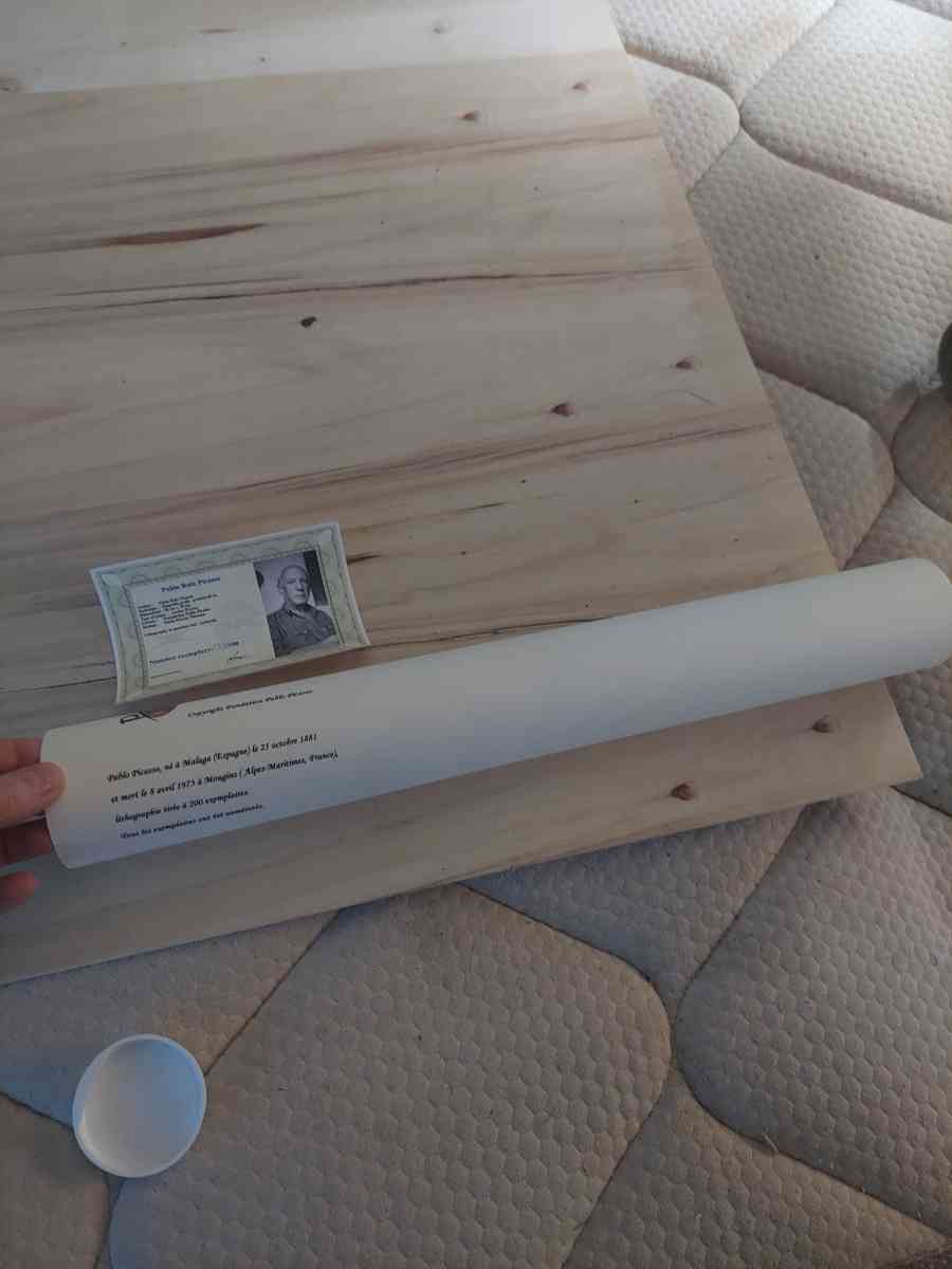 This is a little Picasso painting artThank you