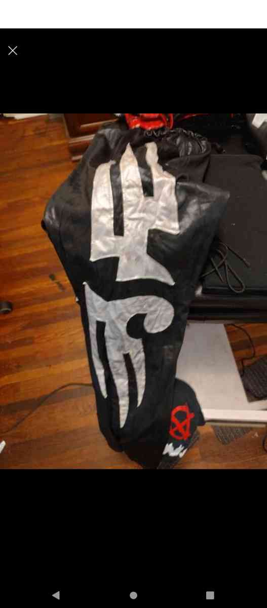 in ring professional wrestling gear