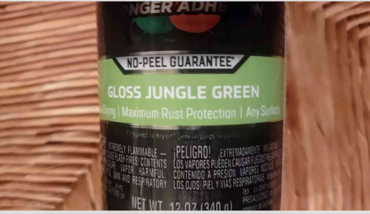 RAZOR e200 electric  scooter   Accessories  Paint  New Charg