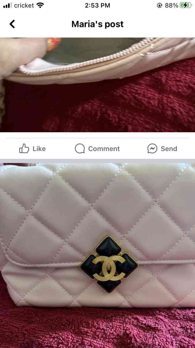 womans beautiful purse