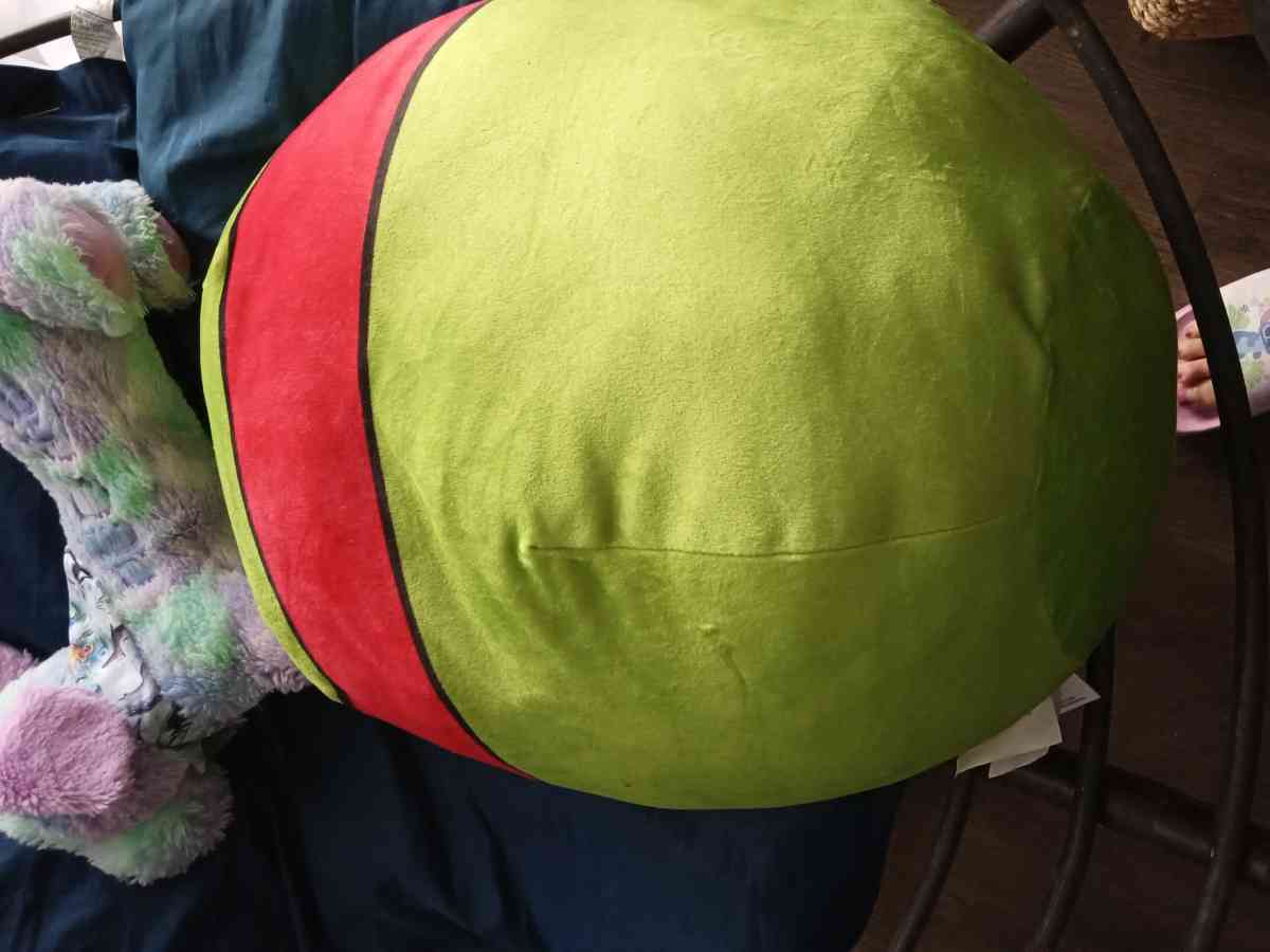 ninja turtle pillow
