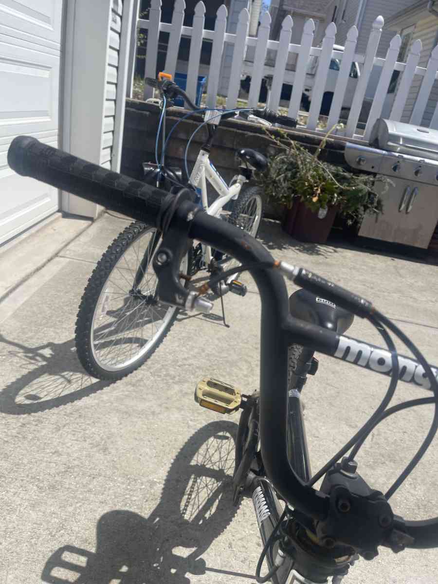 major fixer upper bikes