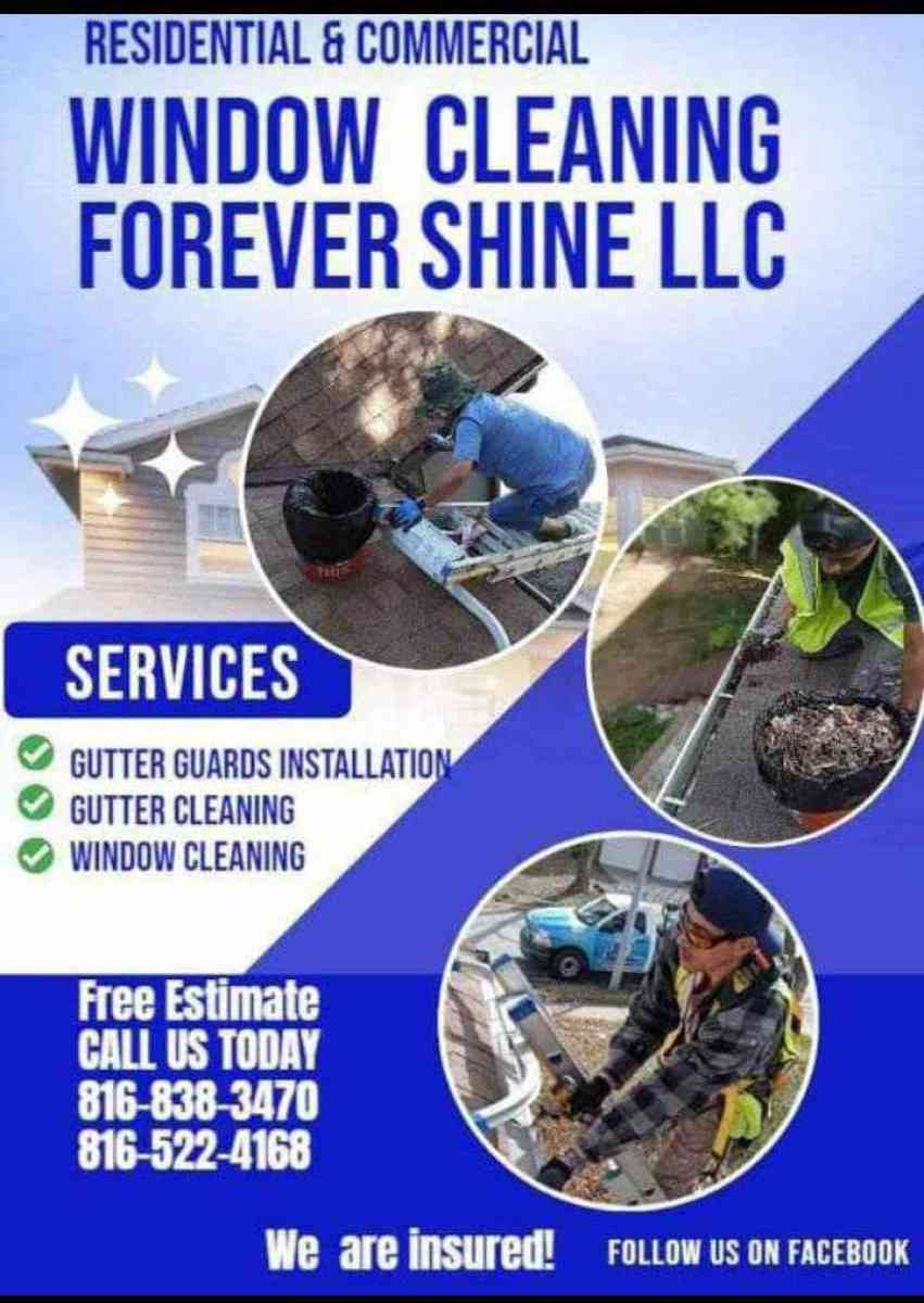 Gutter cleaning for sale