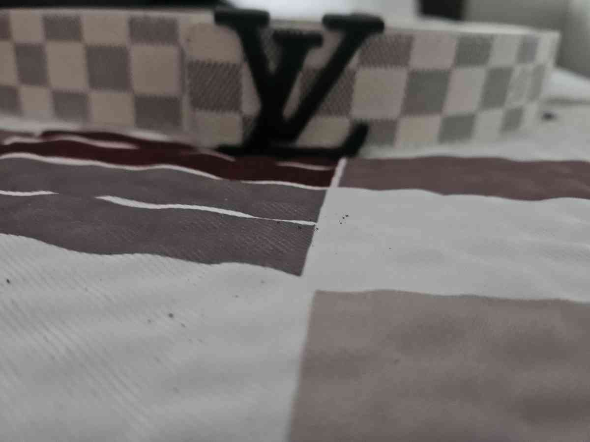louis vuitton belt