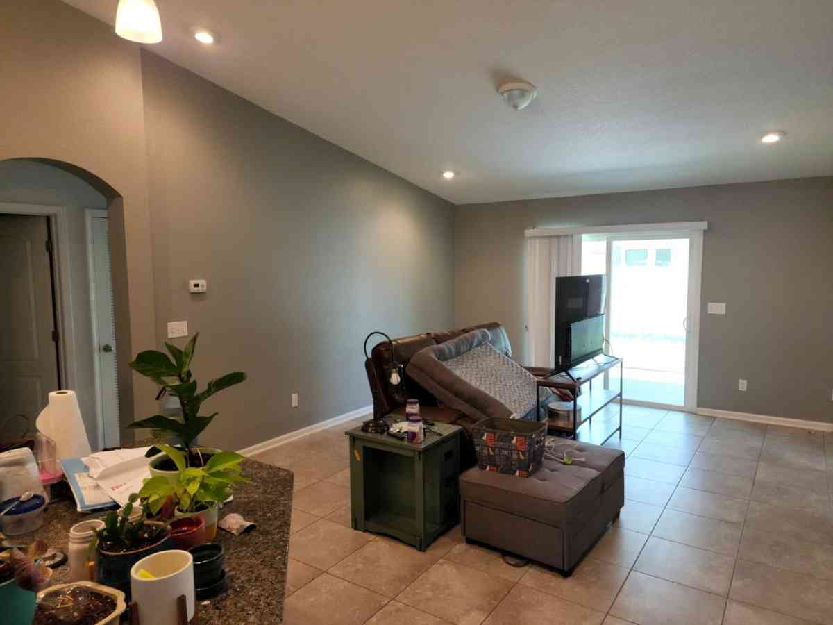 Professional Painting Services