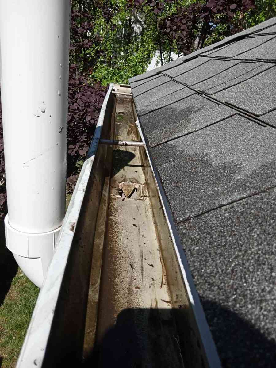 overflowing gutters