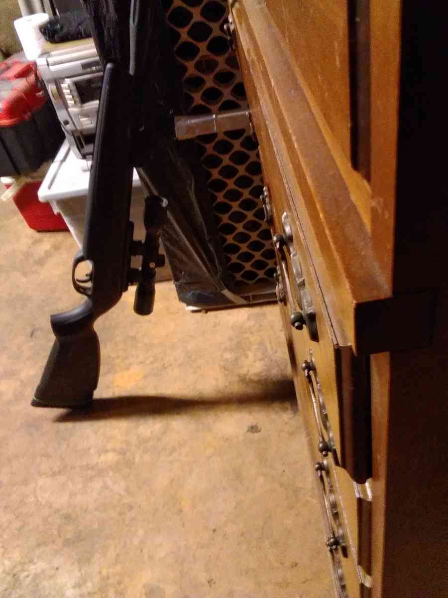 Gamo swarm whisper bb gun