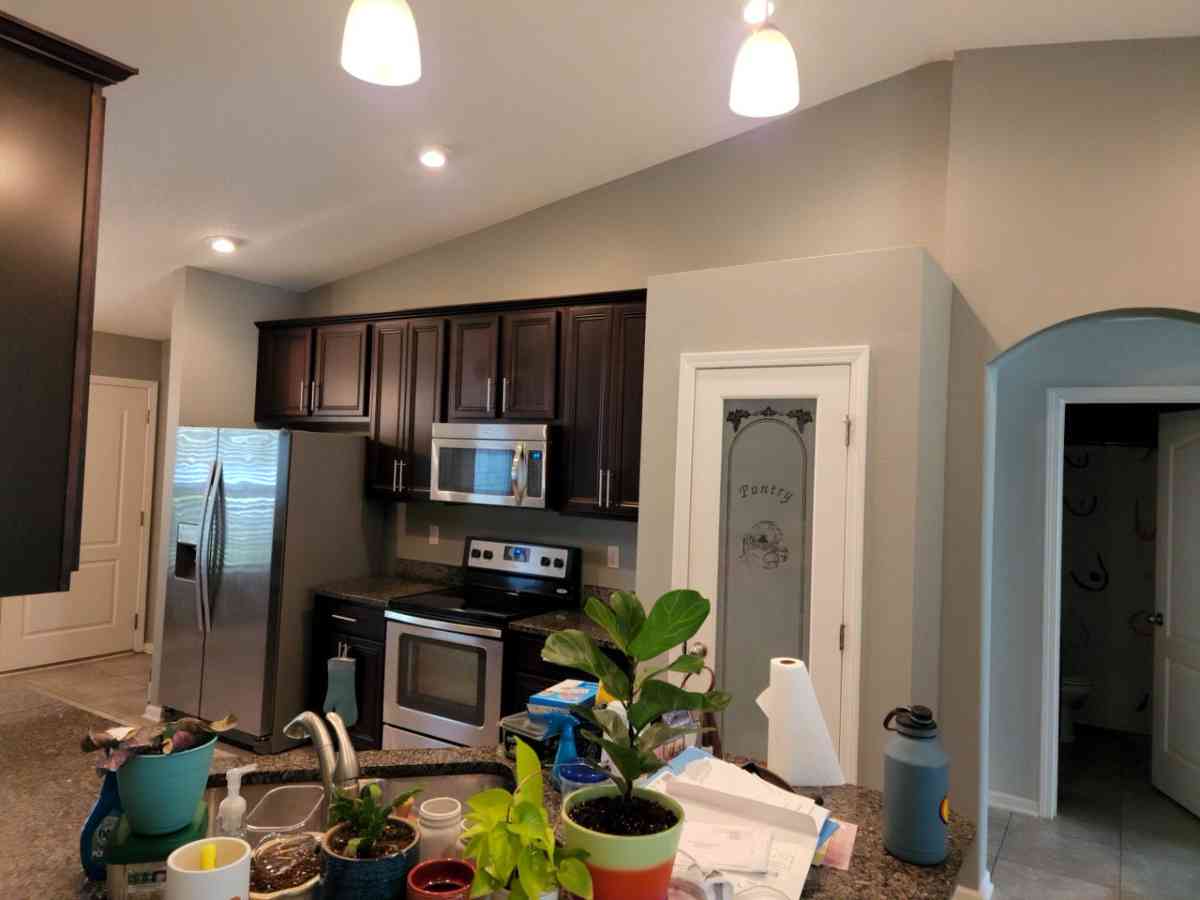 Professional Painting Services