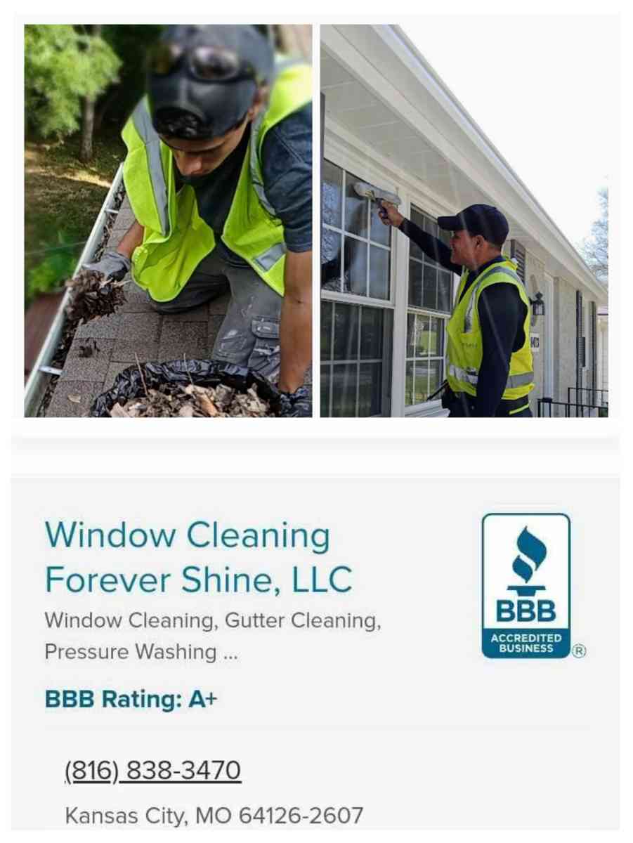 Gutter cleaning for sale
