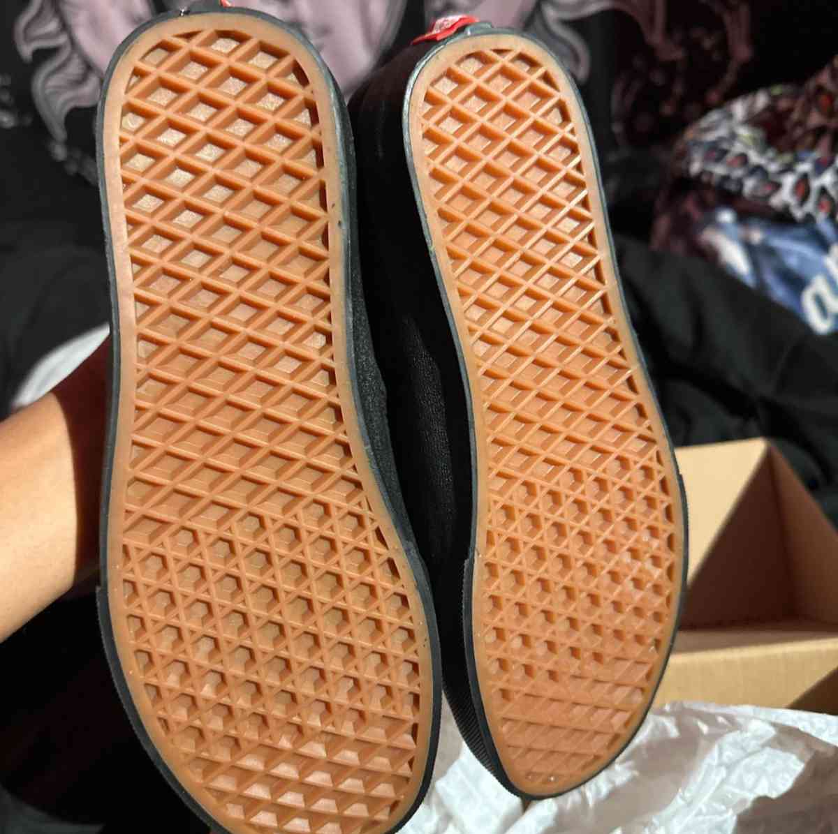 Vans Authentic Canvas Skate Shoes