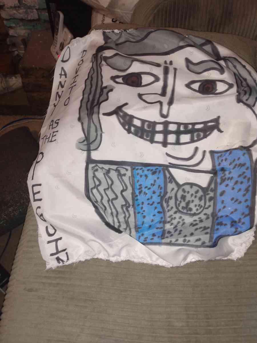 homemade cartoon pillows and wall hangings