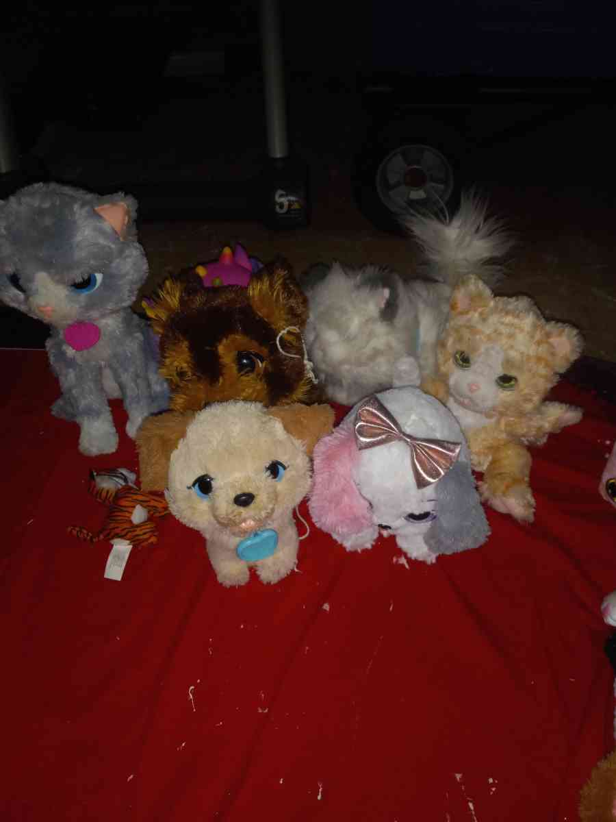 girl  toys baby stuff