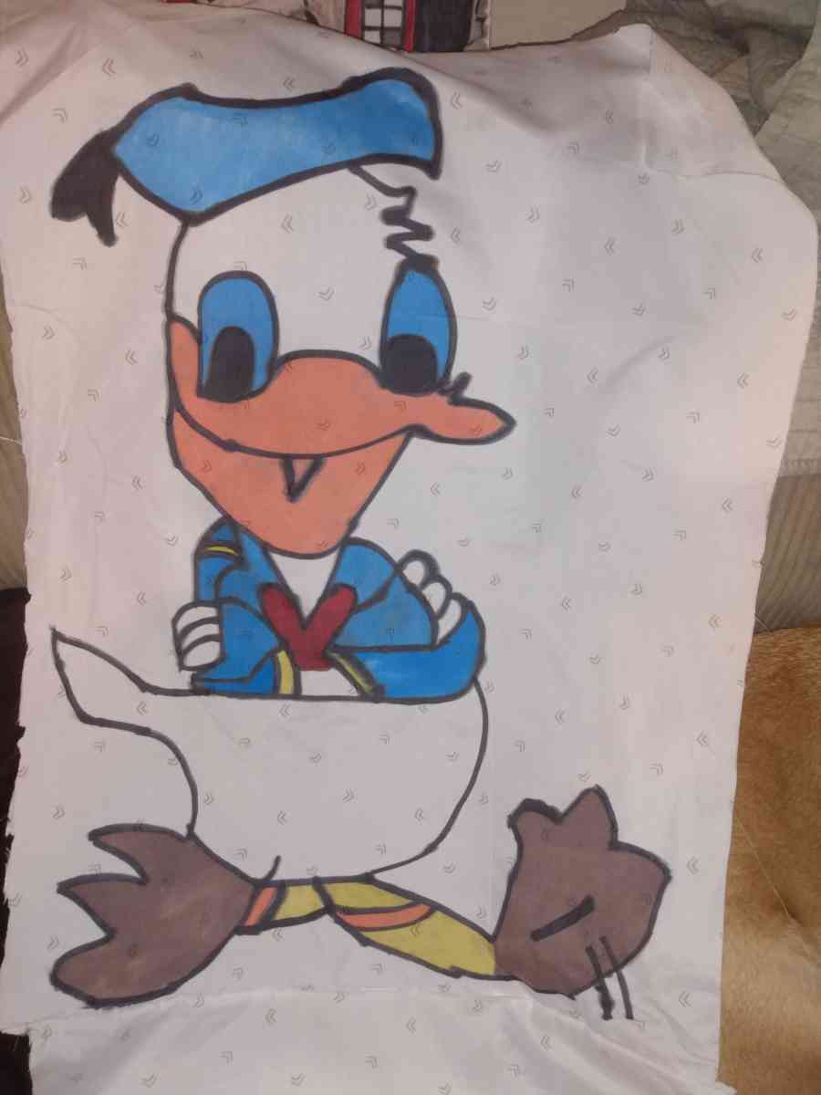 homemade cartoon pillows and wall hangings