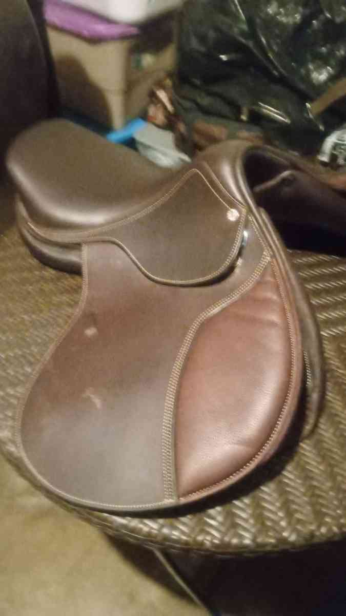 horse saddle and bridal