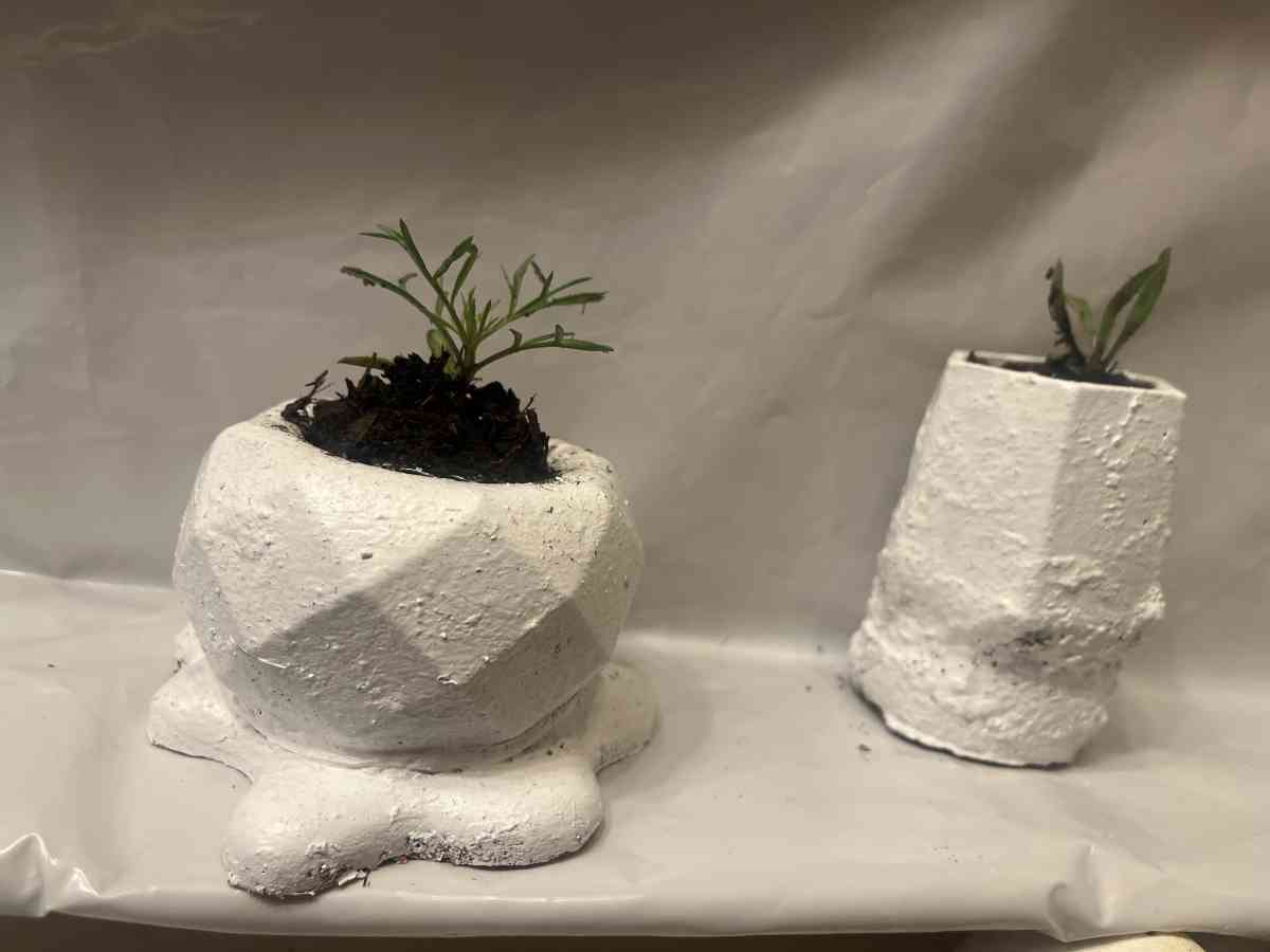 12 10 8  pots with plant