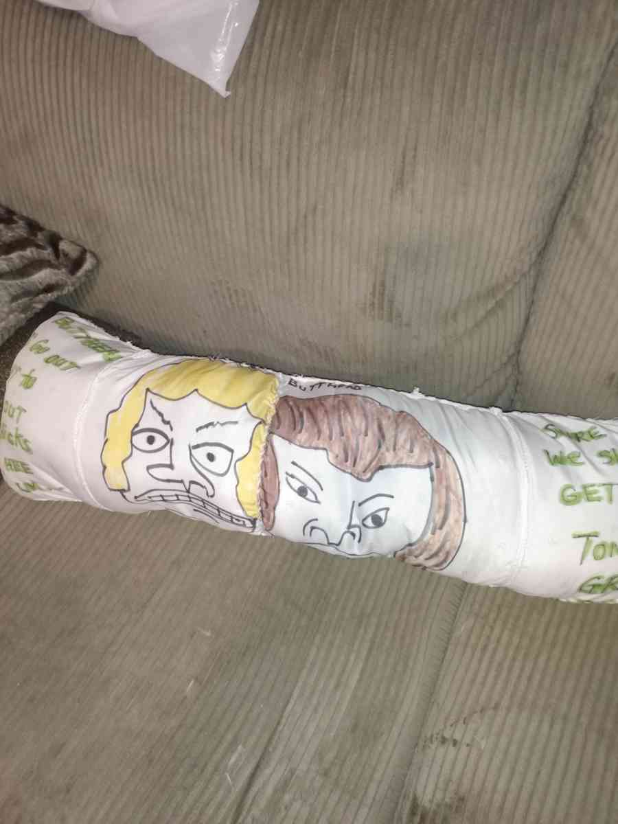 creative cartoons pillows