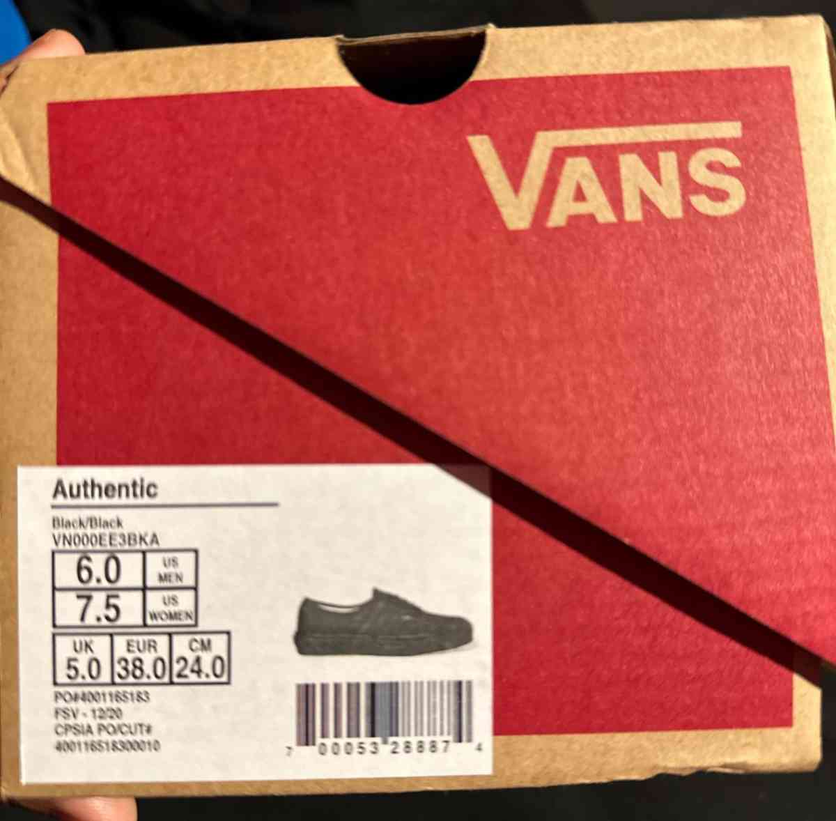 Vans Authentic Canvas Skate Shoes