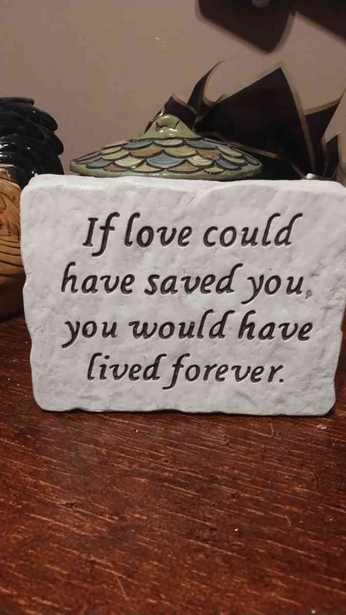 assorted flat heavy stones