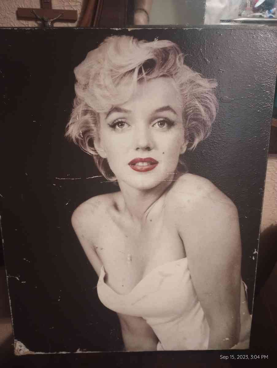 Marilyn Monroe portraits