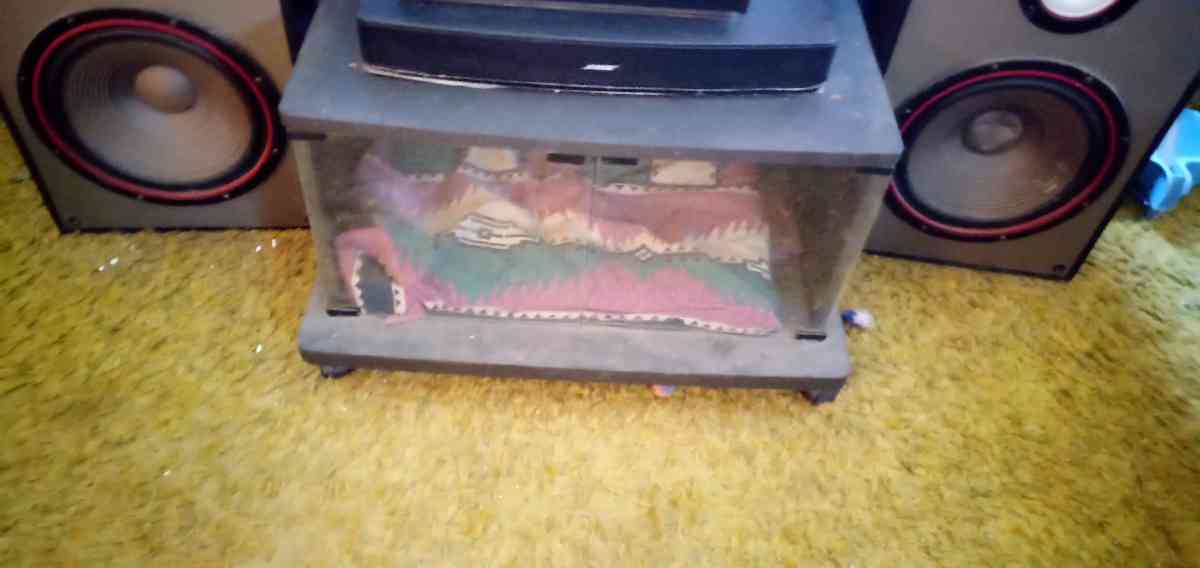 Bose Media sound system and Bose CD  player