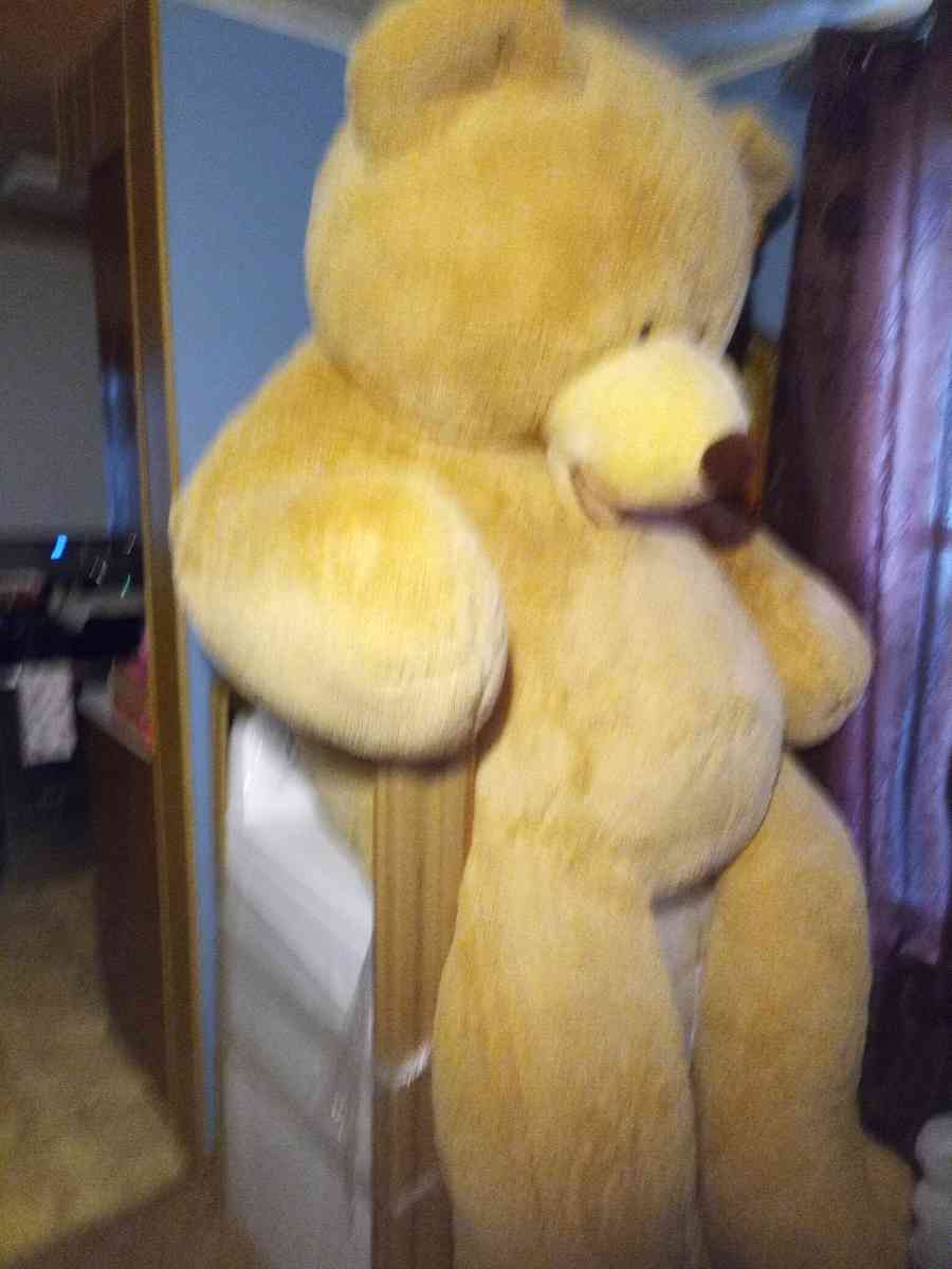 teddy bear 93 feet