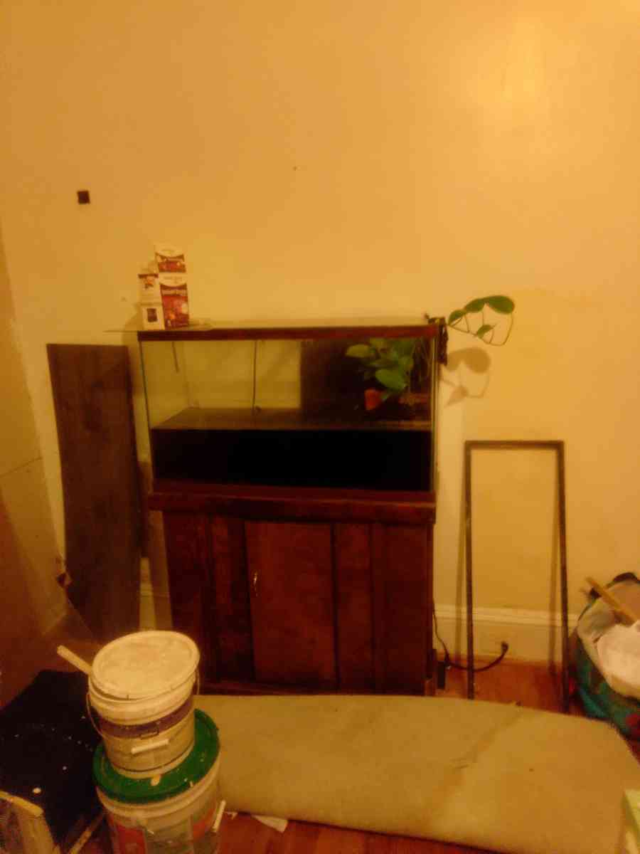 fish tank