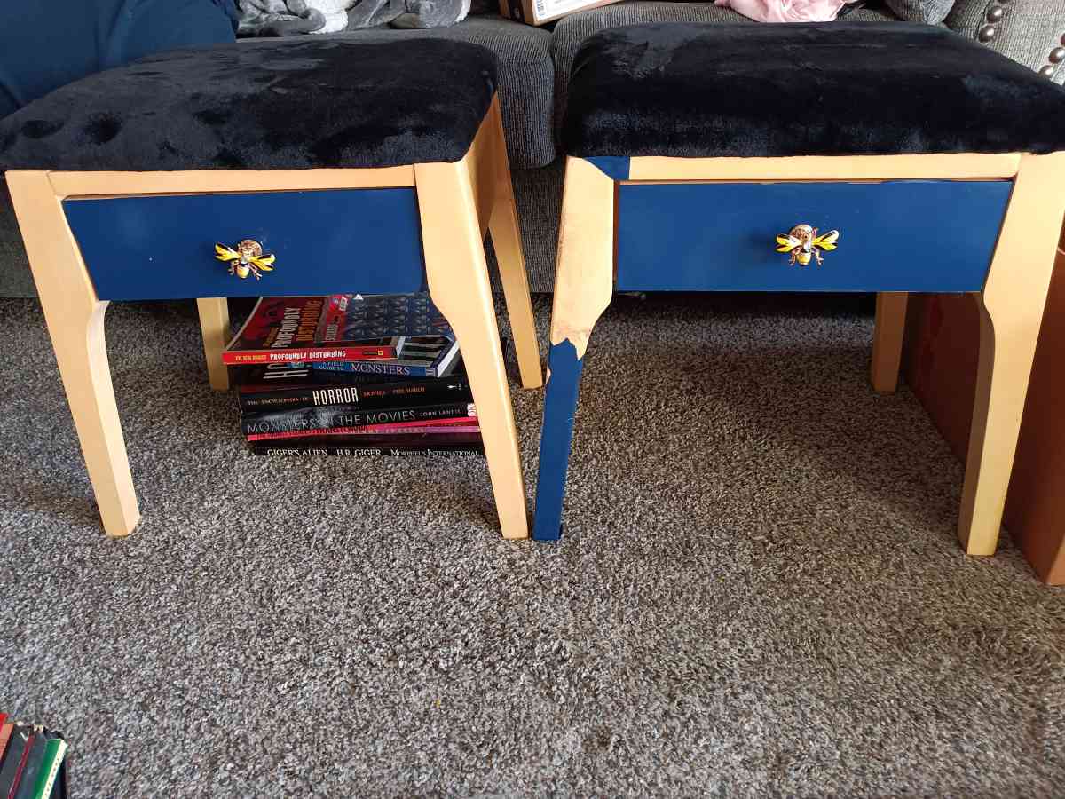 Set of 2 Stools with Draw Storage and Faux Fur Seats