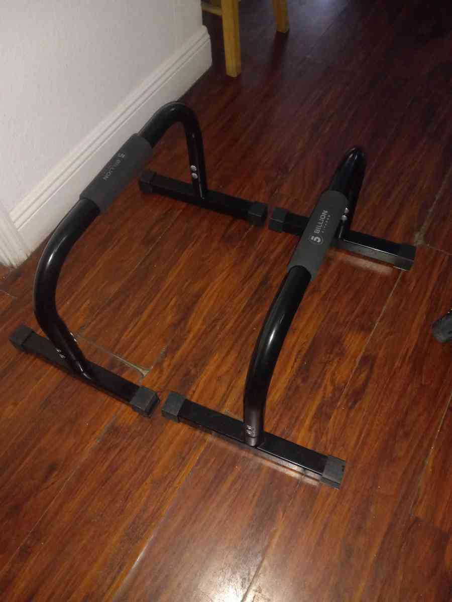 parallells bars calisthenic