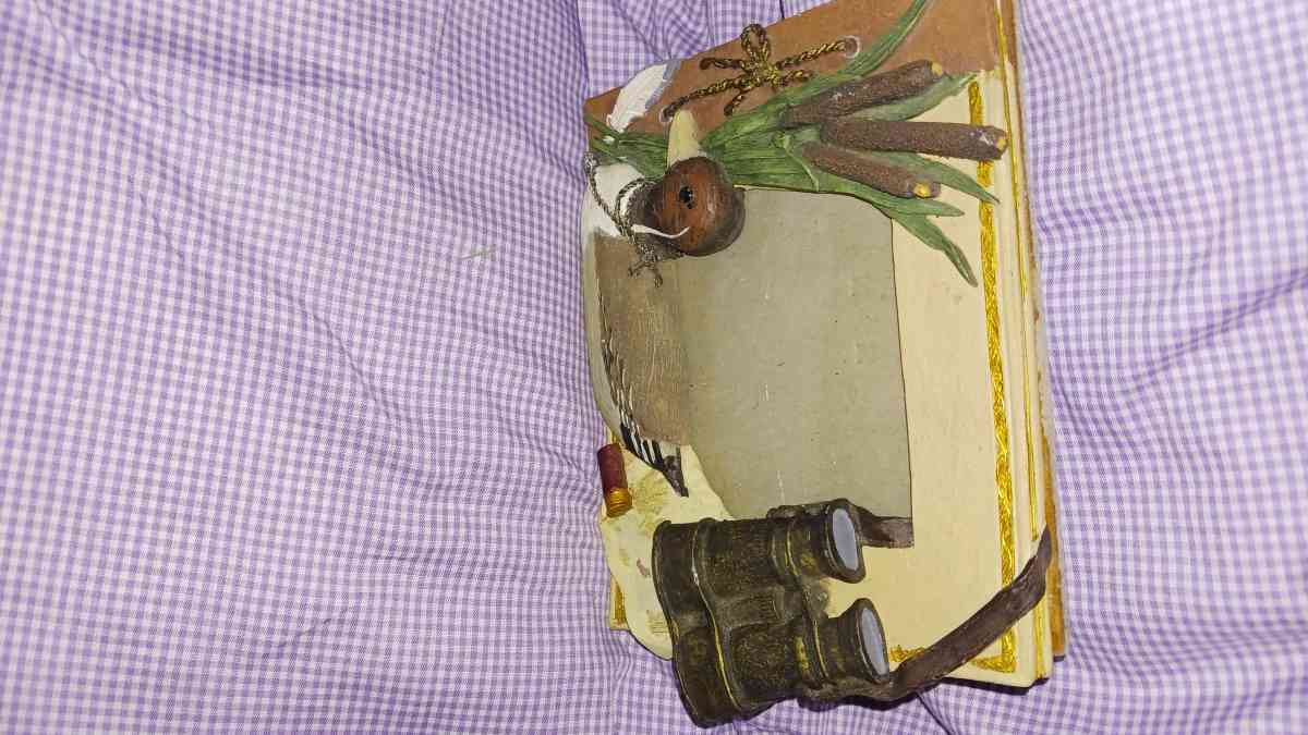 duck picture frame 3 12 x 5 in