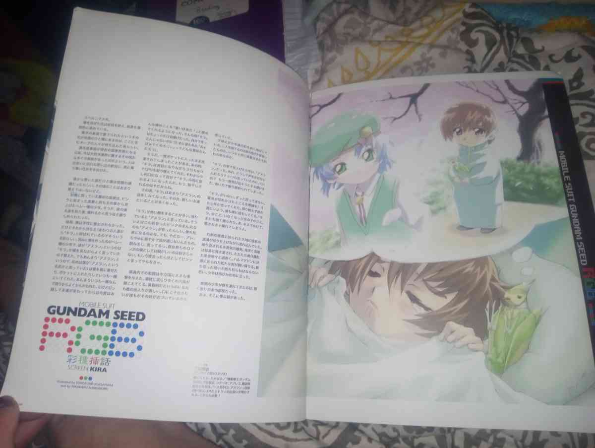 GunDam Seed Photo Album Freedom Kira Book