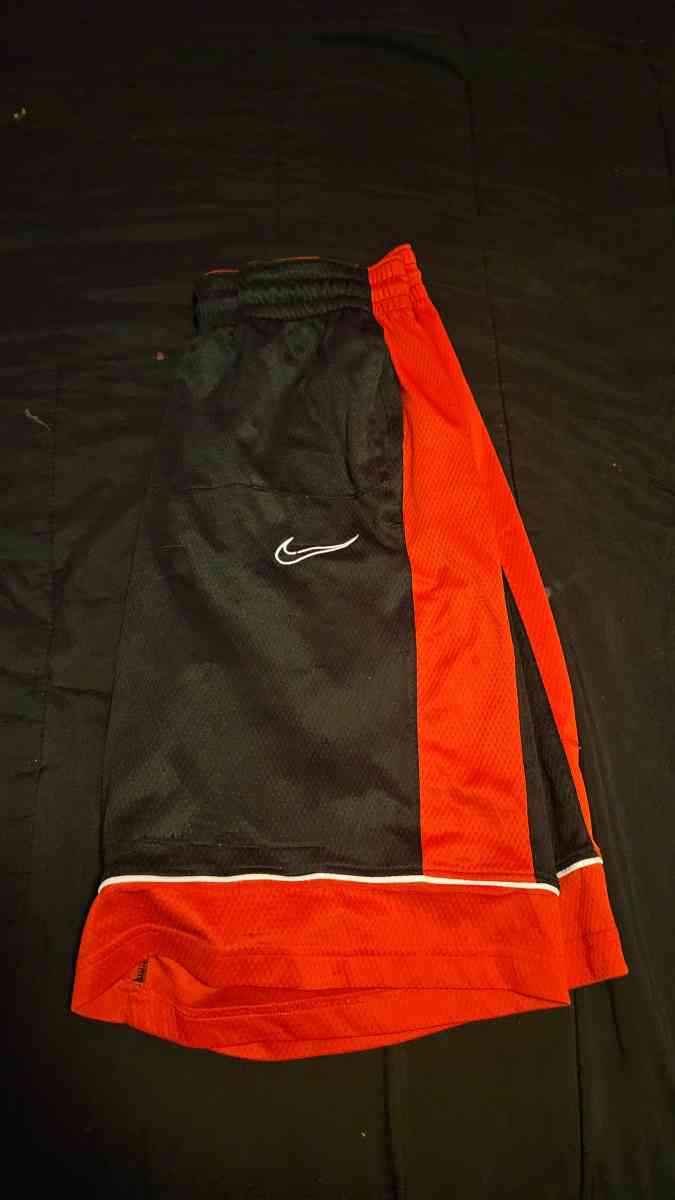 Nike Large Mens Shorts
