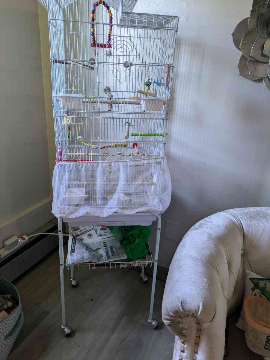 3 bird cages and a bag of 10lb food
