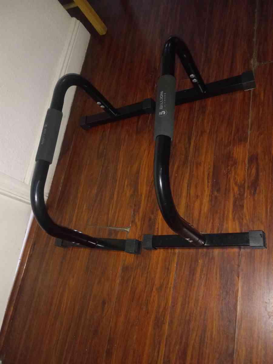 parallells bars calisthenic