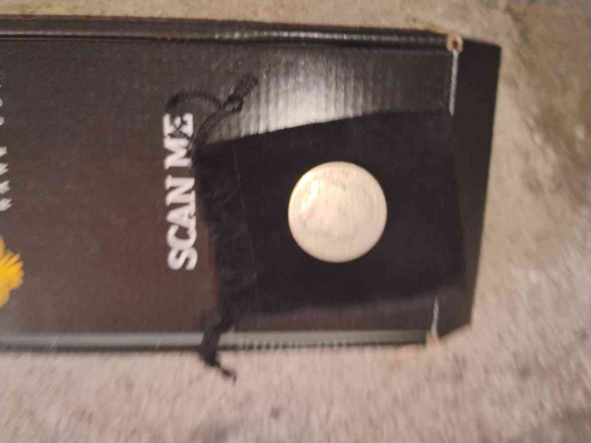 1880 Morgan Silver Dollar