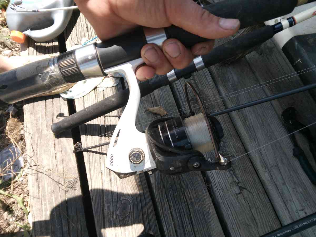 catfihing poles and reels