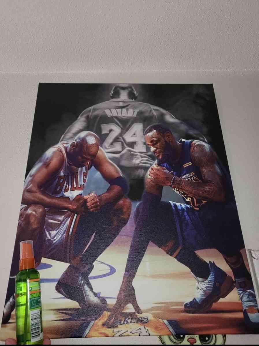 Different canvas avaliable  20 each