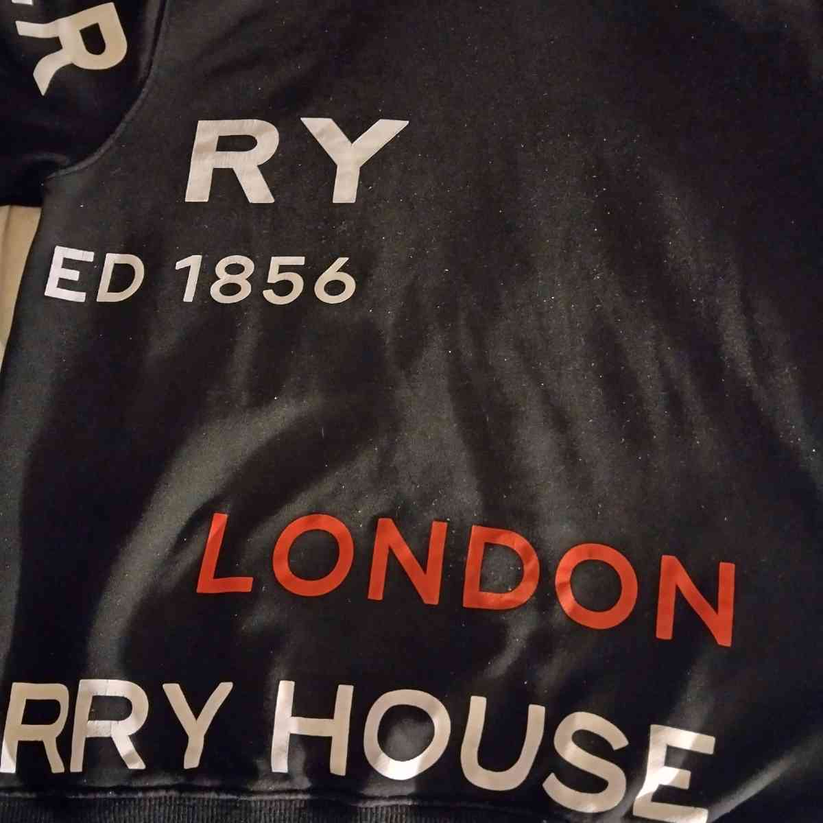 mens Burberry hoodie