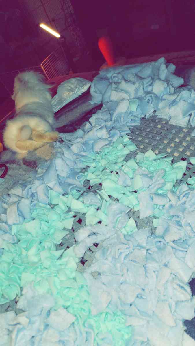 custum snuffle mats washable