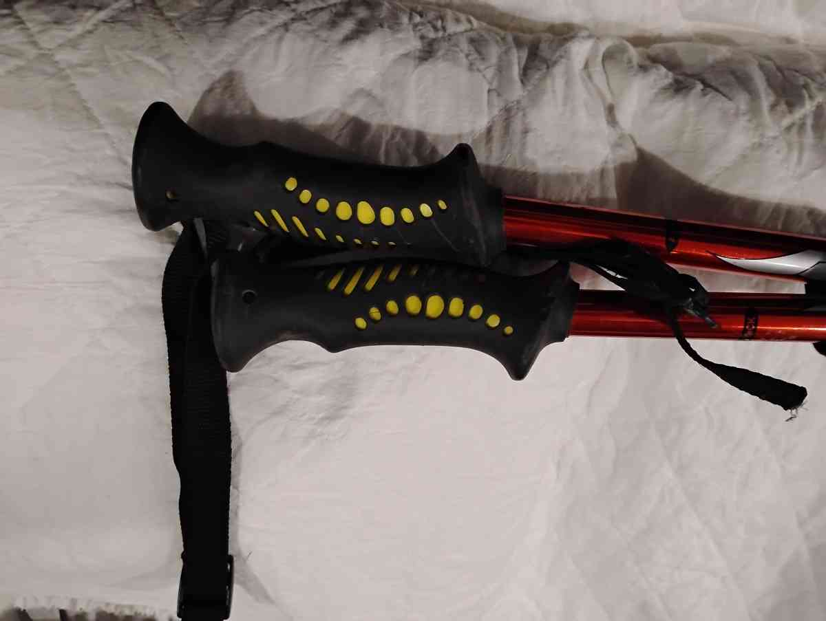 two mountainsmith walking sticks