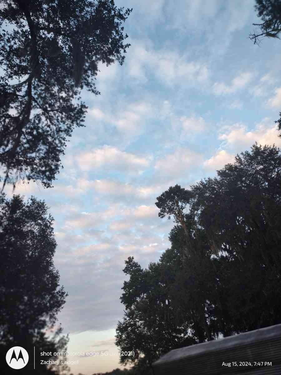 any remote work for fast grocery money