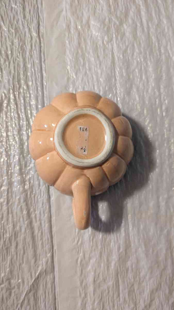 A Semi 3D Orange And Green Carrot Soup Bowl  Vegitable Bowl