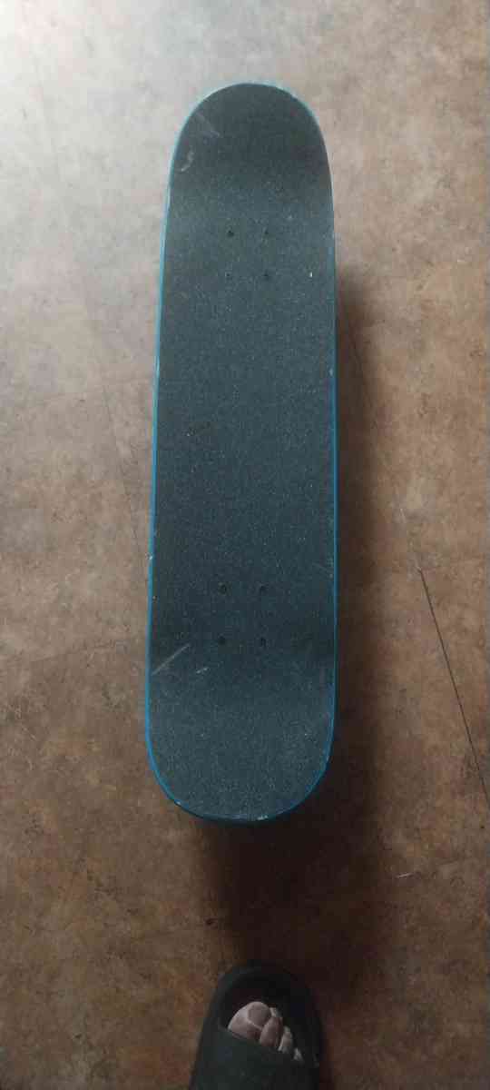 Skateboard Or Iceboard