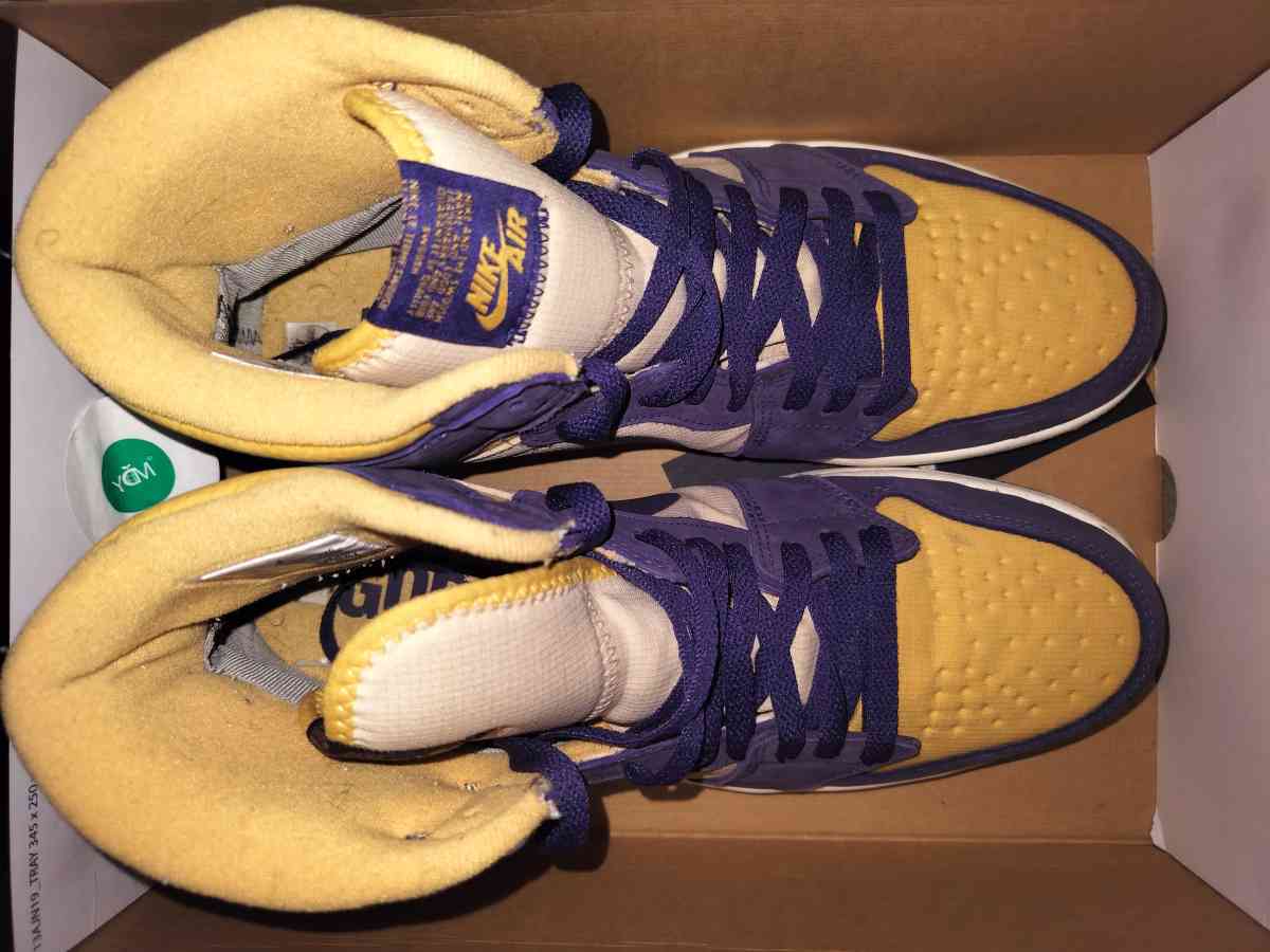 Air Jordan 1 High Element GORETEX