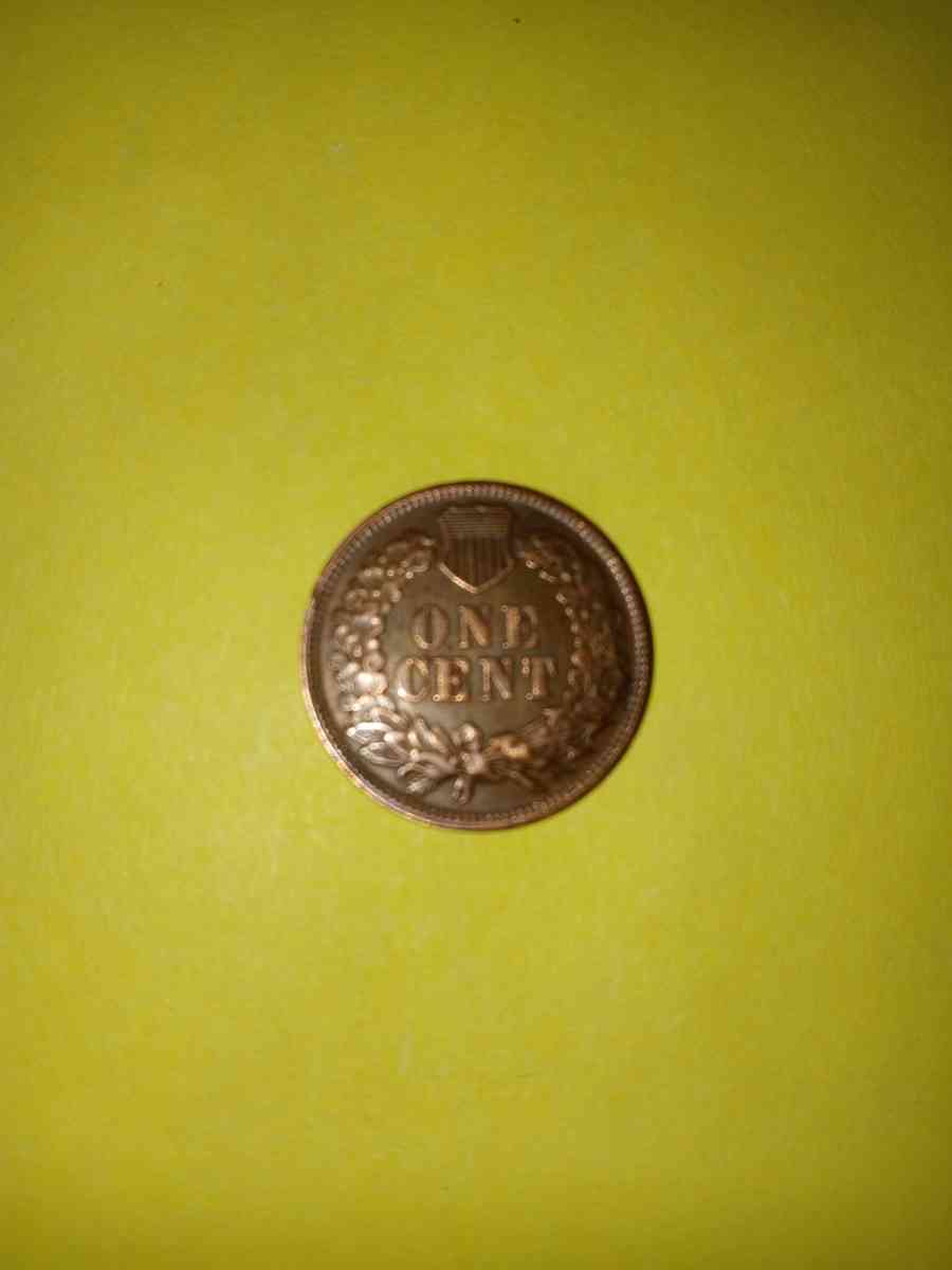 1876 Indian head penny