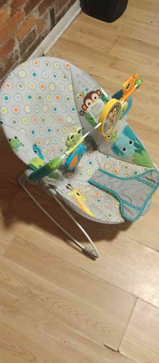 vibrating baby bouncer