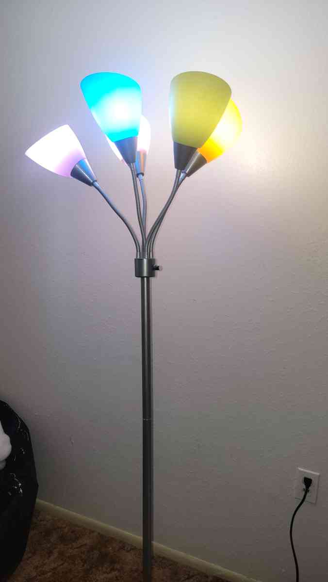 Floor lamp