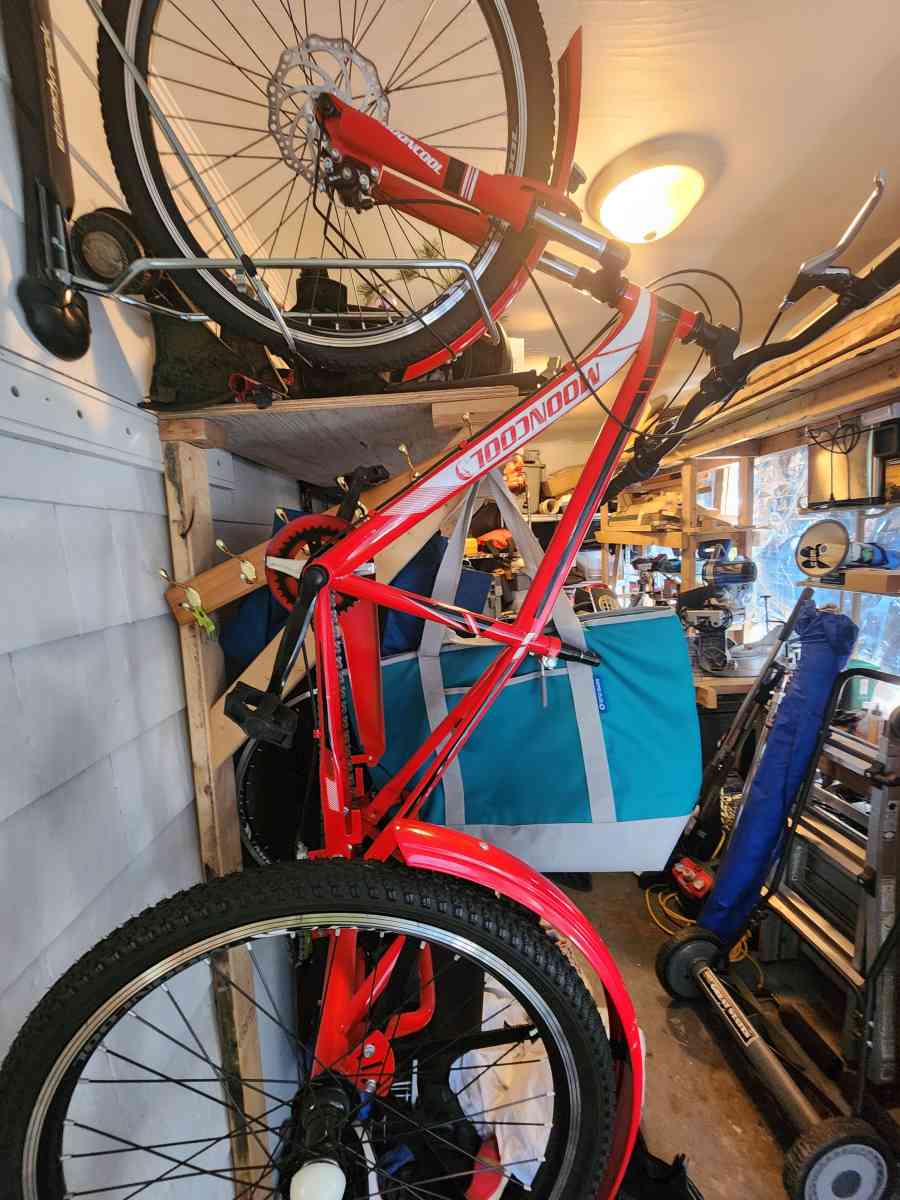 adult Trike