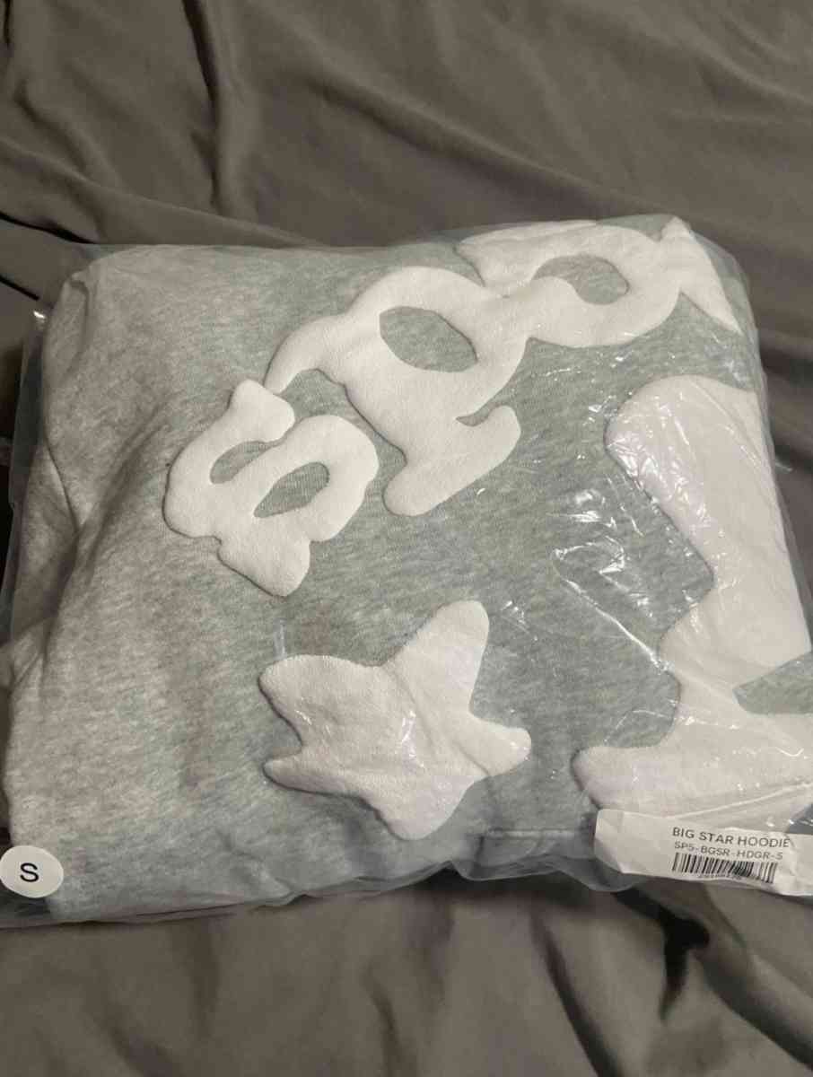 Gray Sp5der Worldwide Beluga Hoodie all sizes