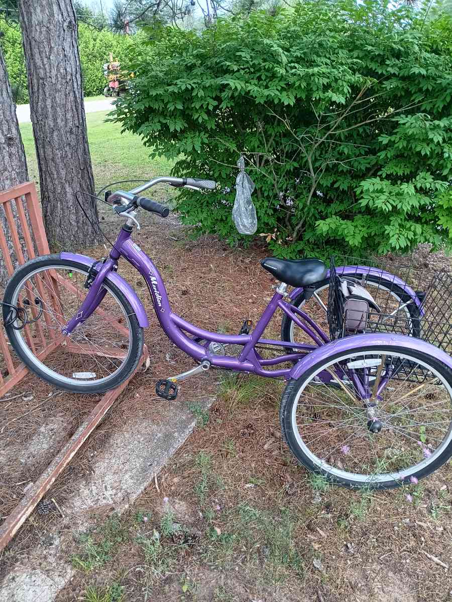 3 wheel bike